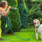 Dynmeow Reflective Dog Collar and Leash Set, 6FT Strong Climbing Rope Leash with... - Image 7