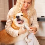 Electric Paw Trimmer for Dogs & Cats - Quiet Rechargeable Clipper with LED Light... - Image 7