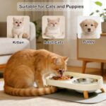 Elevated Cat Bowls with Food Mat, Splash Proof Anti Vomiting Raised Cat Food and... - Image 7