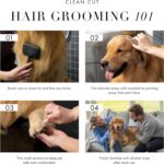 Tweezerman Pet Grooming Scissors, Stainless Steel Rounded Tip Trimming Shears fo... - Image 4