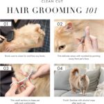 Tweezerman Pet Grooming Scissors, Stainless Steel Rounded Tip Trimming Shears fo... - Image 5