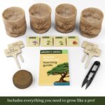Planter's Choice Bonsai Tree Kit for Beginners & Plant Lovers - Grow Your Own Bo... - Image 3