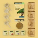 Planter's Choice Bonsai Tree Kit for Beginners & Plant Lovers - Grow Your Own Bo... - Image 5