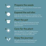 Planter's Choice Bonsai Tree Kit for Beginners & Plant Lovers - Grow Your Own Bo... - Image 6