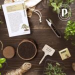 Planter's Choice Bonsai Tree Kit for Beginners & Plant Lovers - Grow Your Own Bo... - Image 7