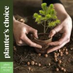 Planter's Choice Bonsai Tree Kit for Beginners & Plant Lovers - Grow Your Own Bo... - Image 8