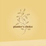 Planter's Choice Bonsai Tree Kit for Beginners & Plant Lovers - Grow Your Own Bo... - Image 10
