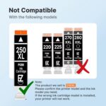 E-Z Ink Compatible Ink Cartridges Replacement for Canon 250 251 XL PGI-250XL CLI... - Image 8