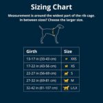 Ruffwear, Front Range Dog Harness, Reflective Soft Padded Everyday Harness with ... - Image 3