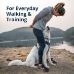 Ruffwear, Front Range Dog Harness, Reflective Soft Padded Everyday Harness with ... - Image 4