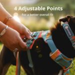 Ruffwear, Front Range Dog Harness, Reflective Soft Padded Everyday Harness with ... - Image 8