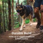 Ruffwear, Front Range Dog Harness, Reflective Soft Padded Everyday Harness with ... - Image 9