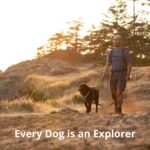 Ruffwear, Front Range Dog Harness, Reflective Soft Padded Everyday Harness with ... - Image 10
