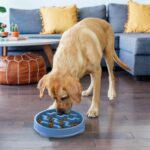 Outward Hound Fun Feeder Slo Bowl – Large 4‑Cup Capacity, Slow Feeding, Medium t... - Image 7