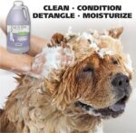 Wahl USA 4-in-1 Calming Pet Shampoo for Dogs with a Lavender Chamomile Scent – C... - Image 3