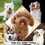 Wahl USA 4-in-1 Calming Pet Shampoo for Dogs with a Lavender Chamomile Scent – C... - Image 8