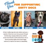 Wahl USA 4-in-1 Calming Pet Shampoo for Dogs with a Lavender Chamomile Scent – C... - Image 9