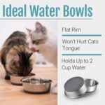PEGGY11 Nonslip Stainless Steel Dog Cat Bowls, 2 US Cup, 2 Count - Image 5