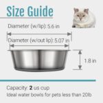 PEGGY11 Nonslip Stainless Steel Dog Cat Bowls, 2 US Cup, 2 Count - Image 6
