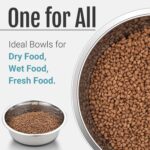 PEGGY11 Nonslip Stainless Steel Dog Cat Bowls, 2 US Cup, 2 Count - Image 8