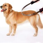 BOTH WINNERS Dual-Sided Shedding Blade with Stainless Steel Blade De-Shedding To... - Image 7
