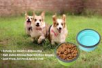 2 Pack Collapsible Silicone Travel Dog Bowls with Lids - Portable Pet Feeders, 1... - Image 5