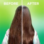 Garnier Fructis Sleek & Shine 10-in-1 Leave In Conditioner Spray for Dry, Frizzy... - Image 5