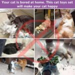 Retro Shaw 33 Pack Cat Tunnel Toy Set for Indoor Cats Kittens, Solves Boredom & ... - Image 8