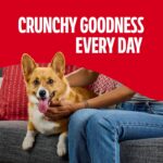 Milk-Bone Flavor Snacks Mini’s Dog Biscuits, Flavored Crunchy Dog Treats, 36 Oz.... - Image 6