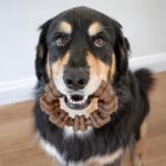 Nylabone Strong Chew Textured Ring Dog Toy Made with Real Beef & Chicken, Durabl... - Image 6
