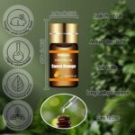 Essential Oils Set - Top 15 Scents for Diffuser, Humidifier, Skin Care, Aromathe... - Image 4