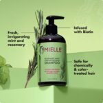 Mielle Organics Rosemary Mint Hair Strengthening Biotin Shampoo - Moisturizing H... - Image 5