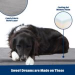 Barkbox Orthopedic Dog Bed with Memory Foam, Premium Comfort for Dogs and Puppie... - Image 3