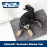 Barkbox Orthopedic Dog Bed with Memory Foam, Premium Comfort for Dogs and Puppie... - Image 6