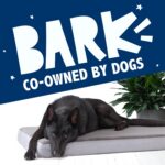 Barkbox Orthopedic Dog Bed with Memory Foam, Premium Comfort for Dogs and Puppie... - Image 8