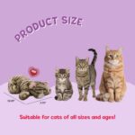 Snuggle Kitty Heartbeat Cat Toy for Kittens and Cats with Real-Feel Pulse and He... - Image 5