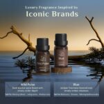 ASAKUKI Men Essential Oils Set for Diffuser, Father's Day & Birthday Gift for Me... - Image 4