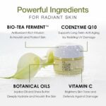 IN YOUR FACE Cream – Luxurious Anti Wrinkle Cream – Deeply Hydrating Face Moistu... - Image 4