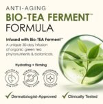 IN YOUR FACE Cream – Luxurious Anti Wrinkle Cream – Deeply Hydrating Face Moistu... - Image 5