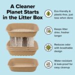 Kitty Sift (Set of 1 Litter Box & 5 Sifting Liners) Disposable Sifting Cat Litte... - Image 3