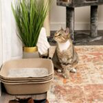 Kitty Sift (Set of 1 Litter Box & 5 Sifting Liners) Disposable Sifting Cat Litte... - Image 8