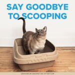 Kitty Sift (Set of 1 Litter Box & 5 Sifting Liners) Disposable Sifting Cat Litte... - Image 11