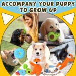 Zeaxuie 9 Pack Luxury Puppy Toys for Teething Small Dogs, Puppy Chew Toys with C... - Image 8