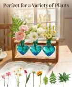 Nacome Plant Terrarium Propagation Stations: Mothers Day Gifts for Mom Plant Lov... - Image 4