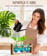 Nacome Plant Terrarium Propagation Stations: Mothers Day Gifts for Mom Plant Lov... - Image 7