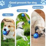 Interactive Dog Toys for Small Dogs, 2026 New Dog Balls Automatic Rolling Ball f... - Image 4