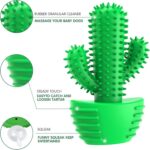 Pamlulu Dog Chew Toys Dog Toothbrush Stick Teeth Cleaning Brush Dental for Mediu... - Image 6
