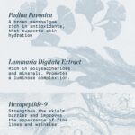 ELEMIS Pro-Collagen Night Cream for Face, Ultra Rich Nightly Facial Moisturizer - Image 7