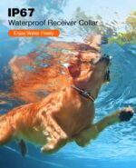 Bousnic Dog Shock Collar - 3300Ft Dog Training Collar with Remote for 5-120lbs S... - Image 6