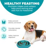 Outward Hound Fun Feeder Slo Bowl – Medium 2‑Cup Capacity, Slow Feeding, Small t... - Image 3